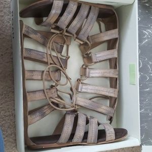 Roan gladiator sandal